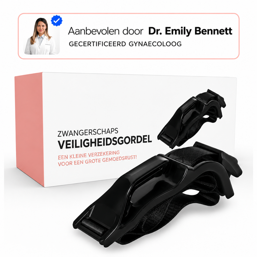 Pregnancy safety belt